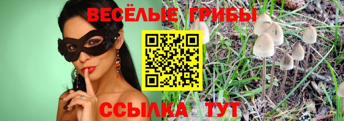 цены   Галлюциногенные грибы Magic Shrooms  Вход с VPN  Екатеринбург 