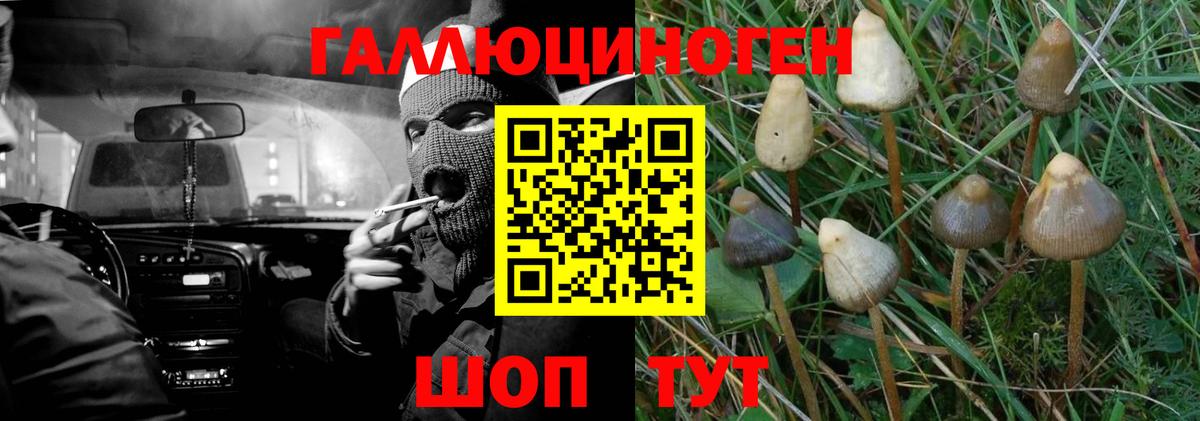 Псилоцибиновые грибы MAGIC MUSHROOMS Екатеринбург